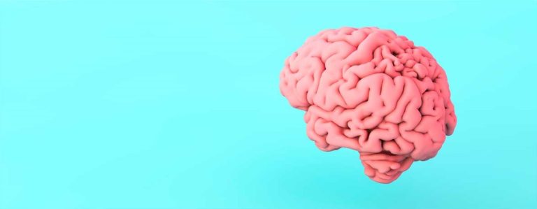 ¿Quién en tu entorno es tu cerebro ejecutivo?